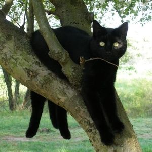 Meet your Posher, Lynn